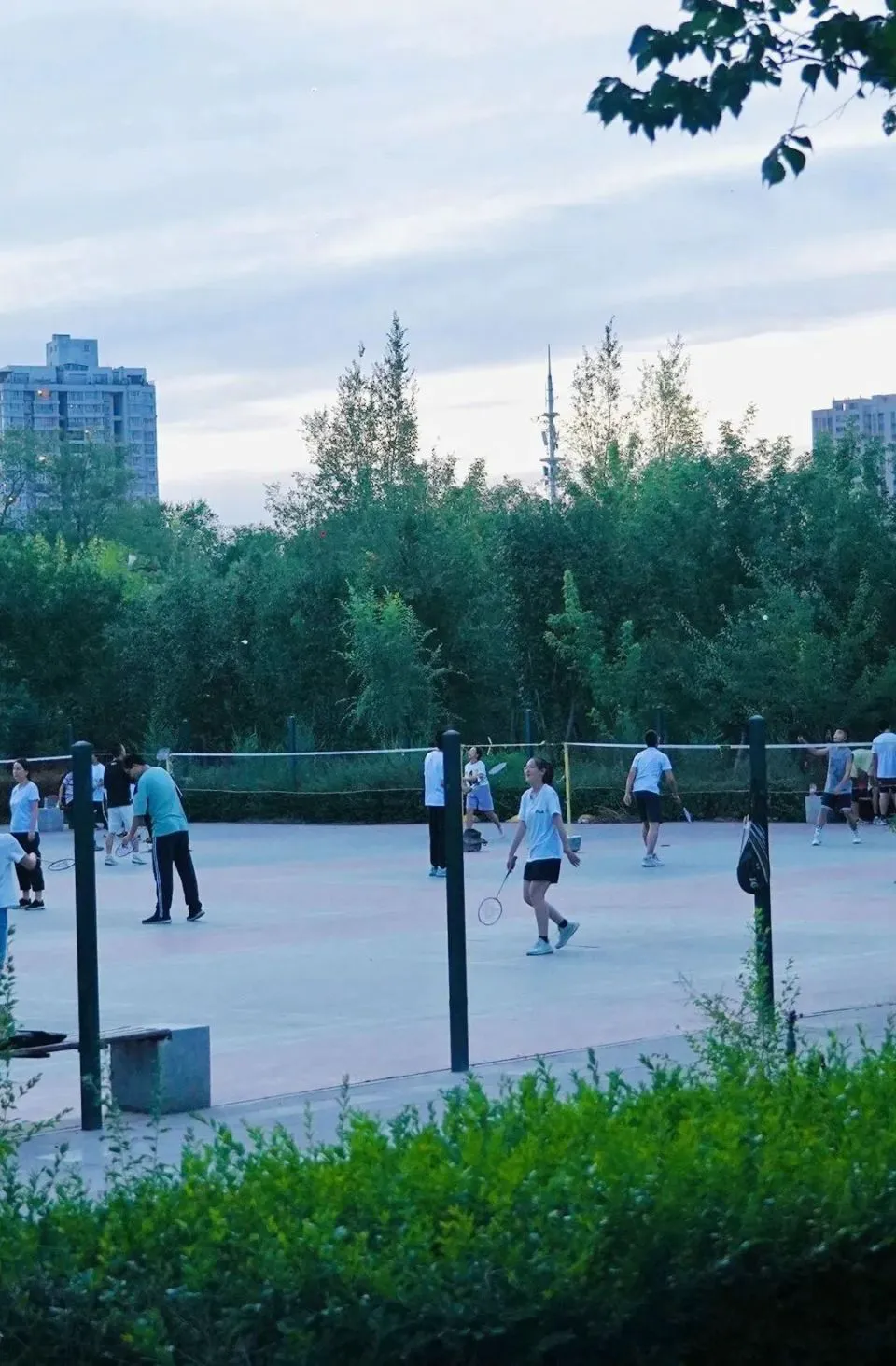 如何在有限时间内最大化篮球训练效果的策略_1